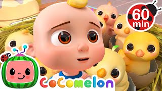 Numbers Song with Little Chicks 🐣  Cocomelon  Kids Learn  Nursery Rhymes  Sing Along [upl. by Sacken]