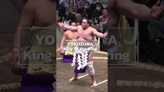 Yokozuna the Pinnacle of Sumo [upl. by Martina921]