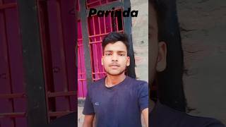 parinda song reels video shortsfeed shanivlog comedy comedykingshani viral trendingshorts [upl. by Chick]