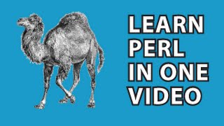 Perl Tutorial [upl. by Alah94]