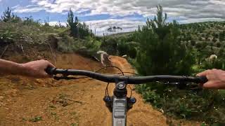 Footrot Flats  Fourforty MTB Park [upl. by Malek496]