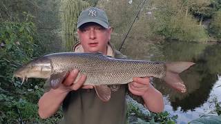 Autumn barbel fishing middle severn [upl. by Brittani567]