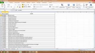 Importation du plan comptable du Excel vers Sage [upl. by Bartholemy]
