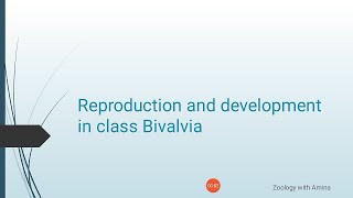 Reproduction and development in class Bivalvia  Phylum mollusca class Bivalvia Reproduction [upl. by Ballman]