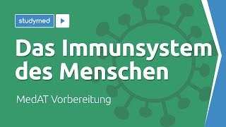 Das Immunsystem des Menschen  MedAT Vorbereitung [upl. by Hebel726]