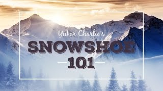 Snowshoe 101 Frequently Asked Questions About Snowshoeing [upl. by Tiny]