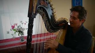 Nicolas Carter plays quotUne Vals Musettequot on Paraguayan Harp [upl. by Hserus]