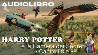 Harry Potter e la camera dei segreti  Lettura e Commento Cap 89  Audiolibro [upl. by Sailesh854]