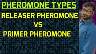 Pheromone Types  Releaser Pheromone versus Primer Pheromone [upl. by Eissel]