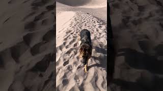 OSA SHORT  Great Sand Dunes National Park Colorado [upl. by Jeanie263]