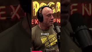 Leaked NulandPyatt Call Transcript Revealed Joe Rogan and Dave Smith Examine the Explosive Content [upl. by Oneladgam137]