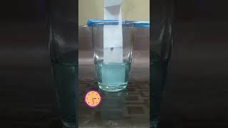 Paper Chromatography Travelling Dot via Paper Krishna Education Center youtubeshorts shortsfeed [upl. by Collen]