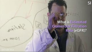 what is Estimated Glomerular Filtration Rate EGFR [upl. by Quickman98]