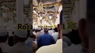 Roza E Rasool ki Ziyarat  Madina Sharif Masjid E Nabvi madina  Roza Mubarak SAW [upl. by Saoj919]