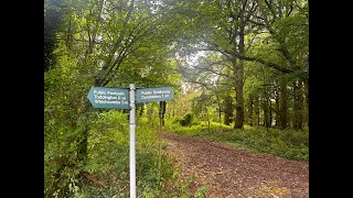 Alderton Short Loop  Alderton Hill Pheasants and Fields ASMR [upl. by Ratcliff13]