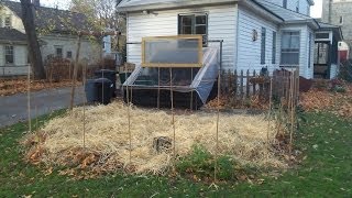 Build This 4ftx8ft Cold Frame From Pallets Its Easy Fast amp Inexpensive [upl. by Anitsugua]