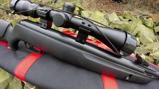 Gamo Whisper Sting air rifle review [upl. by Bainbridge751]