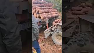 Preparation process before transporting logs [upl. by Saticilef]