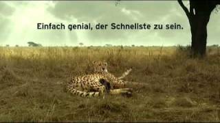 upc cablecom Gepard  Einfach genial der Schnellste zu sein [upl. by Selda825]