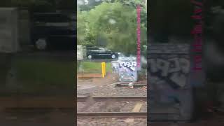 Steamrails Transfer LilydaleNewport steam steamrail shorts shortvideo train travel views [upl. by Puduns]