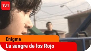 La sangre de los Rojo  Enigma  T8E9 [upl. by Raffaj279]