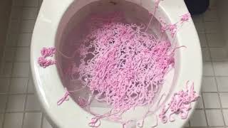 Will it Flush  Pink Silly String [upl. by Alasteir]