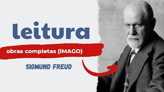 Leituras Freud Lacan e Jung 13 [upl. by Norford837]