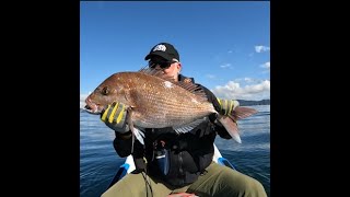 Monster Snapper – PB jetski softbait fishing on the Seadoo fishpro in NZ [upl. by Nairbo]