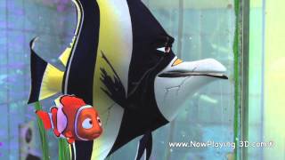 Finding Nemo 3D quotGil and Nemoquot [upl. by Etteinotna]