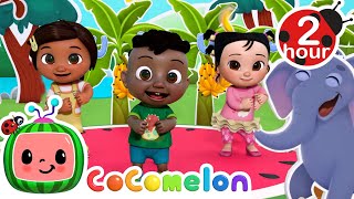 Apples and Bananas Love Fruit Song  CoComelon  Codys Playtime  Songs for Kids amp Nursery Rhymes [upl. by Reste]