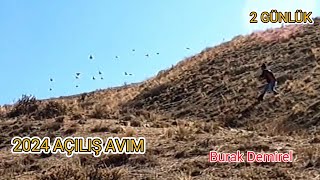 KEKLİK AVI 2024 açılış avım partridge hunting  охота на куропатку [upl. by Sicnarf]