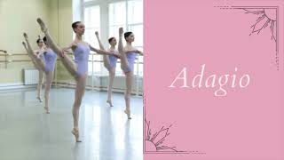 Music for Vaganova Ballet Class  Adagio  Ballet Music at Home [upl. by Aivatnuhs]