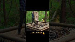 Building a natural dugout shelter Roof bushcraftimprovisation bushcraft [upl. by Yesak496]