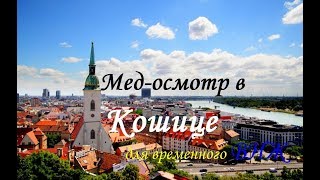 Медосмотр в Кошице  Словакия Временное ВНЖ в Словакии [upl. by Dirfliw343]