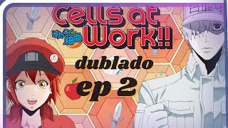 ep 2 de cells at work dublado pt br [upl. by Hickie]