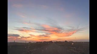 South Dakota Pheasant Hunting  2024 Opener and a Quick Hunt After Work [upl. by Onin]