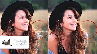 5 Steps to Fix Flyaway Hairs in GIMP Messy or Windy Hair [upl. by Diehl328]