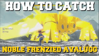 HOW TO CATCH NOBLE FRENZIED AVALUGG IN POKEMON LEGENDS ARCEUS [upl. by Placidia467]