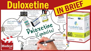 Duloxetine  Cymbalta  What is Duloxetine Used For Dosage Side Effects amp Precautions [upl. by Enyamart]