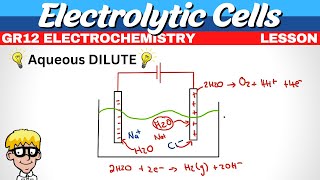 Electrochemistry Gr 12  Electrolysis of aqueous solutions [upl. by Atiuqin411]