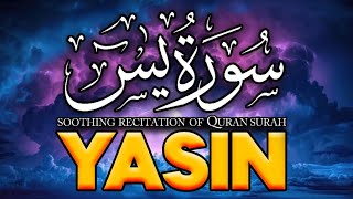 Surah Yasin A Heart Touching Recitation in a Beautiful Voice [upl. by Ahsennek]