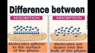 Difference between Adsorption or Absorption what is adsorption or absorption [upl. by Rehsa11]