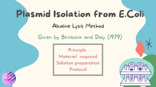 Plasmid isolation from E coli [upl. by Alexandrina]