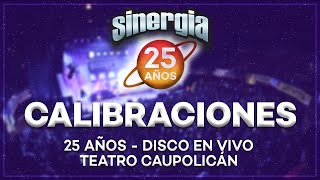 Sinergia  Calibraciones 25 Años En Vivo Teatro Caupolicán [upl. by Liarret]