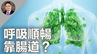 便秘影響呼吸順暢？！揭秘如何透過調理腸道，強健肺臟！ [upl. by Eldnar]