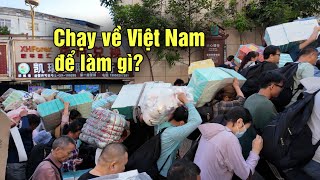 Tiểu thương Trung Quốc chen lấn đổ xô sang Việt Nam từ sớm để làm gì [upl. by Notniw]