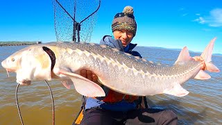 EPIC Battle with a BIG STURGEON on my Kayak [upl. by Sherri]