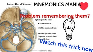 PAIRED DURAL VENOUS SINUSESSelf made mnemonics [upl. by Yboj158]