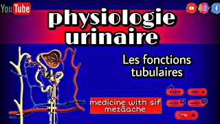 4 Les Fonctions tubulaires  Physiologie 2éme Med [upl. by Argent]