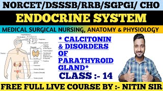 ENDOCRINE SYSTEM Medical Surgical Nursing CLASS 14FREE LIVE COURSE NORCETDSSSBRRB freeclasses [upl. by Yknip]